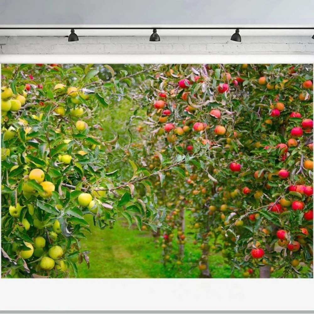 Apple garden vinyl backdrop 7x5 ft